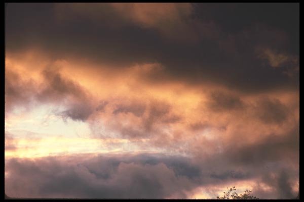 191019 Stratus A4 Photo Print