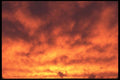 191026 Stratus A4 Photo Print