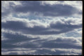191036 Stratocumulus A4 Photo Print