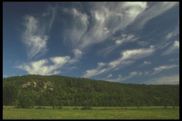 191057 Cirrus A4 Photo Print