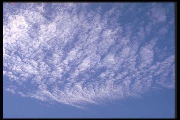 191091 Cirrocumulus A4 Photo Print