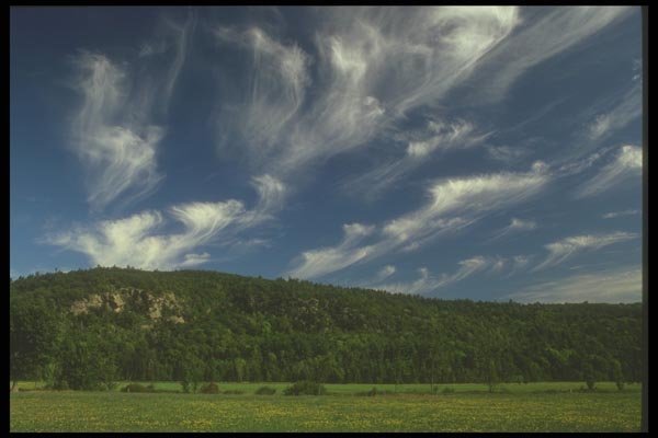 191099 Cirrus A4 Photo Print