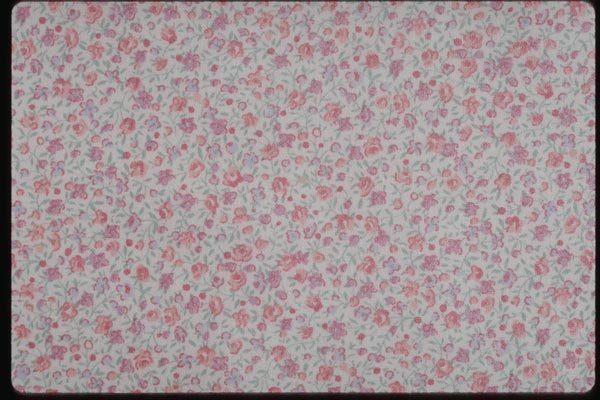 192003 Pink And Ivory Calico A4 Photo Print