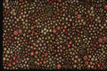 192008 Tiny Red And Ivory Floral On Black A4 Photo Print