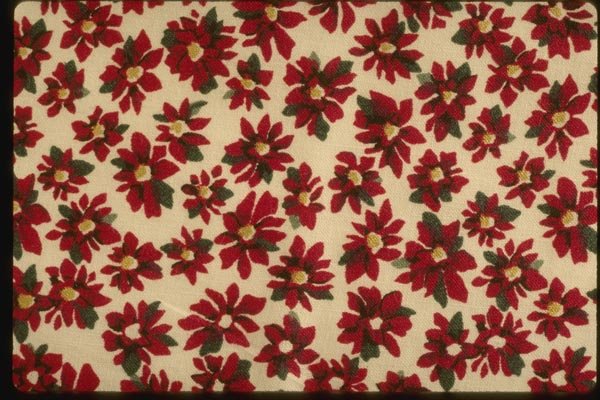 192012 Red And Yellow Flowers On Ivory A4 Photo Print