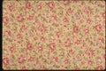 192015 Pink Roses On Yellow A4 Photo Print