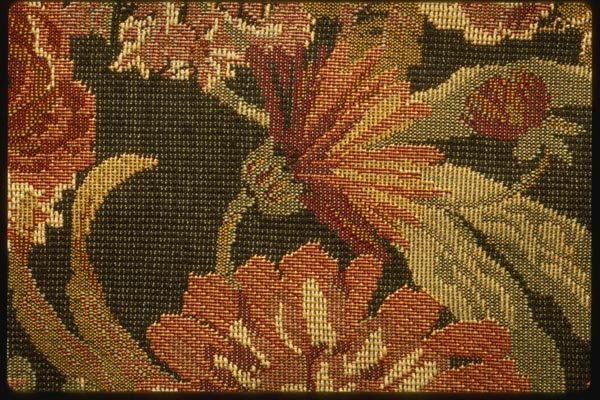 192076 Large Red And Ivory Flowers On Black A4 Photo Print