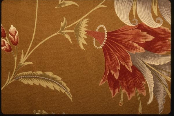 192078 Large Red And Ivory Flowers On Gold A4 Photo Print