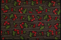 192081 Red And Green Floral On Black Stripes A4 Photo Print