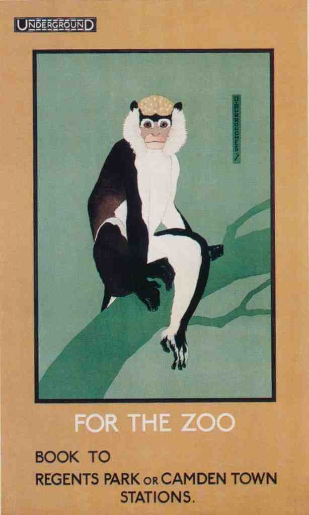 1922 Zoo London Vintage Advert A4 Photo Print