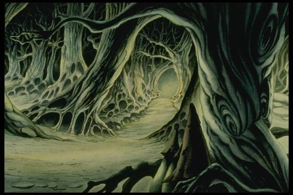 193000 Pathway Through Tangled Forest Roots A4 Photo Print