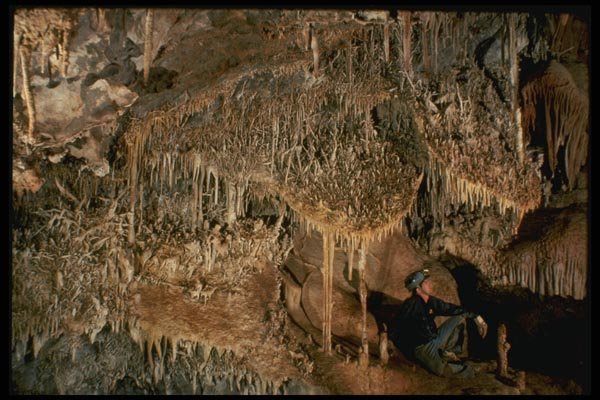 194002 Helictites (eccentric Stalactites) And Shields, Arizona A4 Photo Print