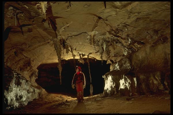 194013 Cave Passage In The Roppel Section Of Mammoth Cave, KY A4 Photo Print