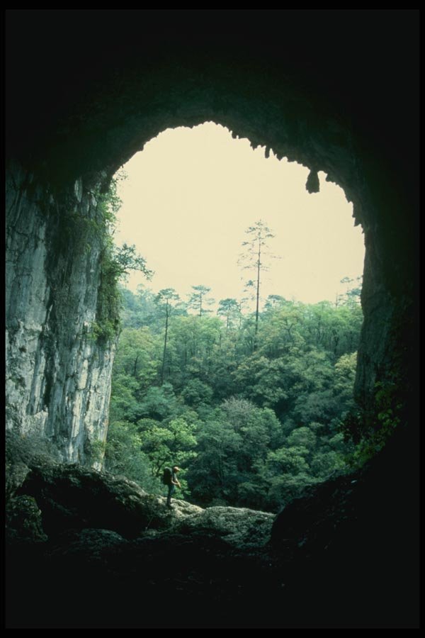 194016 Large Entrance To Cueva De Infiernillo, Mexico's Longest Cave A4 Photo Print
