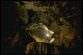 194043 Looking Straight Up Flowstone Encrusted 160' Pit, Alabama A4 Photo Print