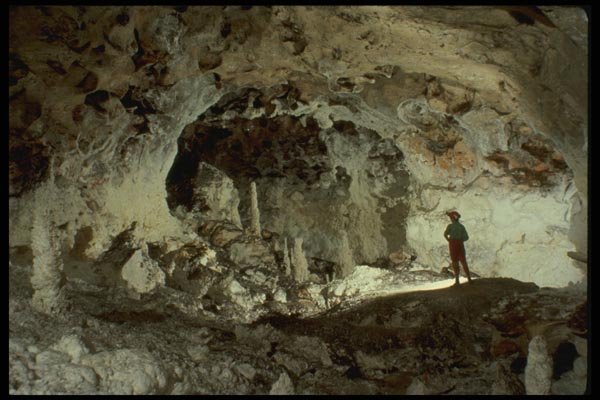 194046 Large Boneyard Passage, Lechuguilla Cave, New Mexico A4 Photo Print