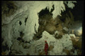 194052 World's Largest Gypsum Formations chandeliers In Lechuguilla A4 Photo Print
