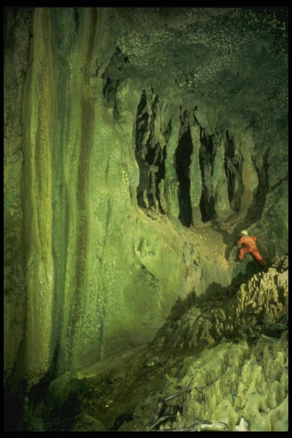 194054 Climbing Up To The Jailbreak Passage In A New Guinea Cave A4 Photo Print
