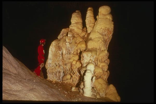 194060 Large Stalagmite Cluster, Lechuguilla Cave A4 Photo Print