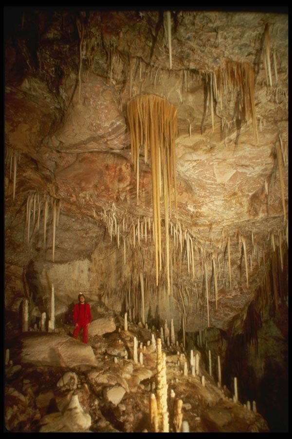 194071 Long Stalactites, New Mexico A4 Photo Print