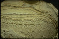 194081 Close up Of Layering In An Eroding Stalagmite A4 Photo Print