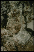 194085 Rare Gypsum Beard Formation A4 Photo Print