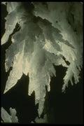 194086 Selenite Crystals A4 Photo Print
