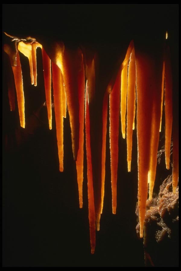 194087 Translucent Orange Stalactites A4 Photo Print