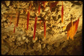 194088 Orange Soda Straws, Indicating Iron Impurities A4 Photo Print