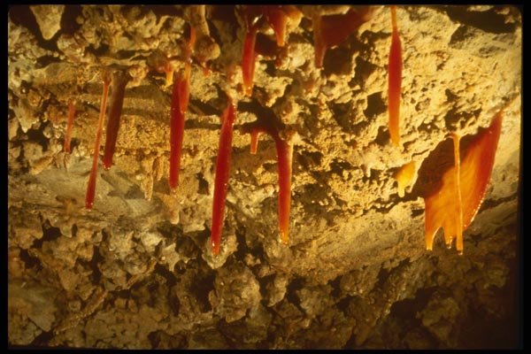 194088 Orange Soda Straws, Indicating Iron Impurities A4 Photo Print