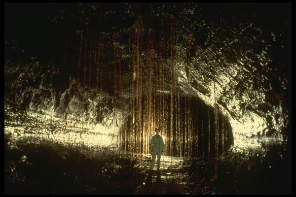 194094 Hawaiian Lava Tube With Ohia Tree Roots A4 Photo Print