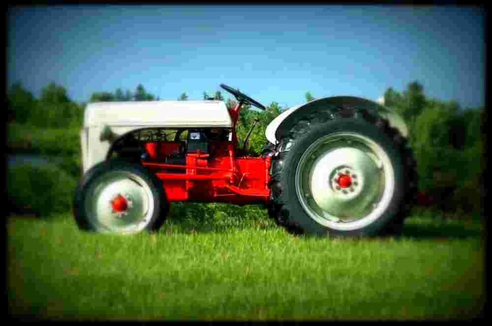 1950 Ford 8N A4 Photo Print