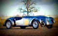 1950 Healey Silverstone A4 Photo Print