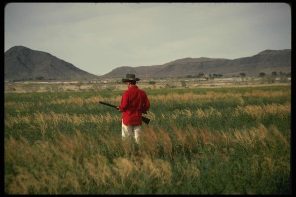 195002 Bird Hunter In Irrigated Field In Desert A4 Photo Print