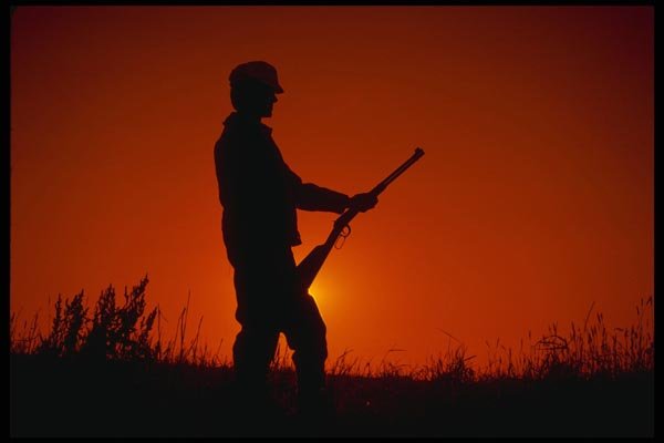 195006 Deer Hunter Waits On Stand At Dawn Of Opening Day A4 Photo Print