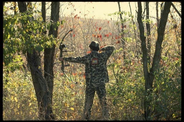 195008 Bow Hunter At Full Draw A4 Photo Print