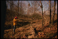 195010 Deer Hunter Aims At Large Trophy Whitetail A4 Photo Print
