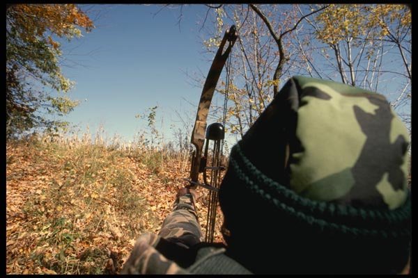195012 Bow Hunter At Full Draw A4 Photo Print