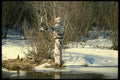 195014 Bow Hunter In Snow camouflaged A4 Photo Print