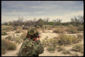195020 Turkey Hunter Aims At Wild Gobbler A4 Photo Print
