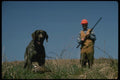195024 Quail Hunter With German Shorthaired Pointer A4 Photo Print