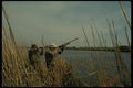 195025 Duck Hunting A4 Photo Print