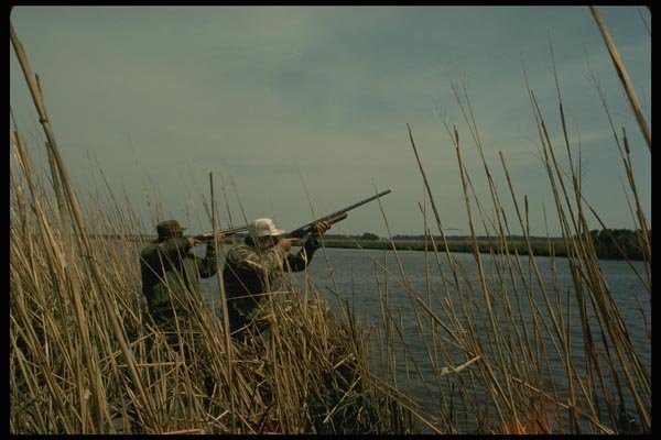 195025 Duck Hunting A4 Photo Print