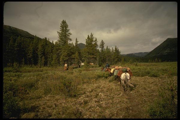195027 Packstring Arrives At Hunting Camp In Mountains A4 Photo Print