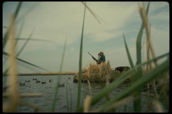 195030 Duck Hunting A4 Photo Print