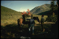 195037 Packing Horse With Trophy Caribou Antlers A4 Photo Print