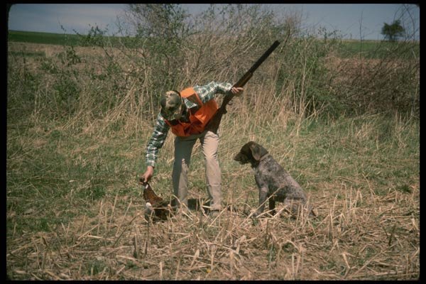 195044 Successful Pheasant Hunter With German Shorthaired Pointer A4 Photo Print