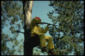 195047 Deer Hunter Shooting From Tree Stand A4 Photo Print