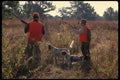 195052 Hunters With English Setter And Brittany Spaniel On Point A4 Photo Print