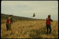 195054 Pheasant Hunters Flush Cockbird A4 Photo Print